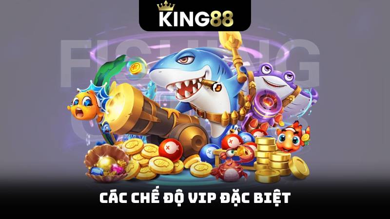 Các chế độ vip đặc biệt